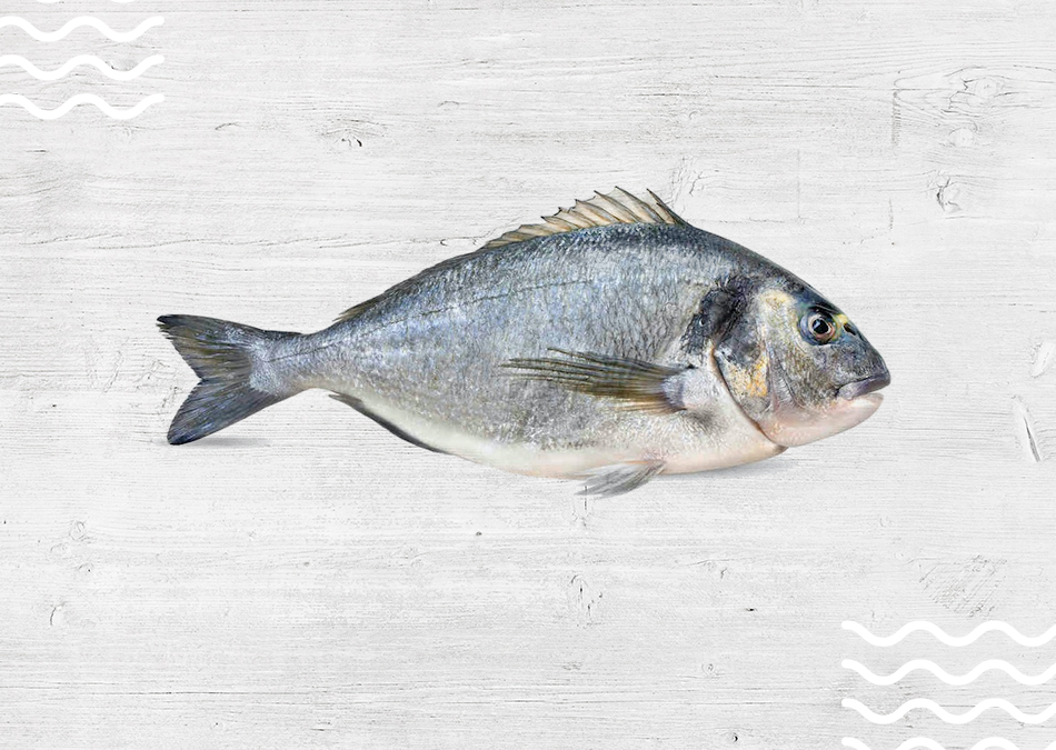 dorada