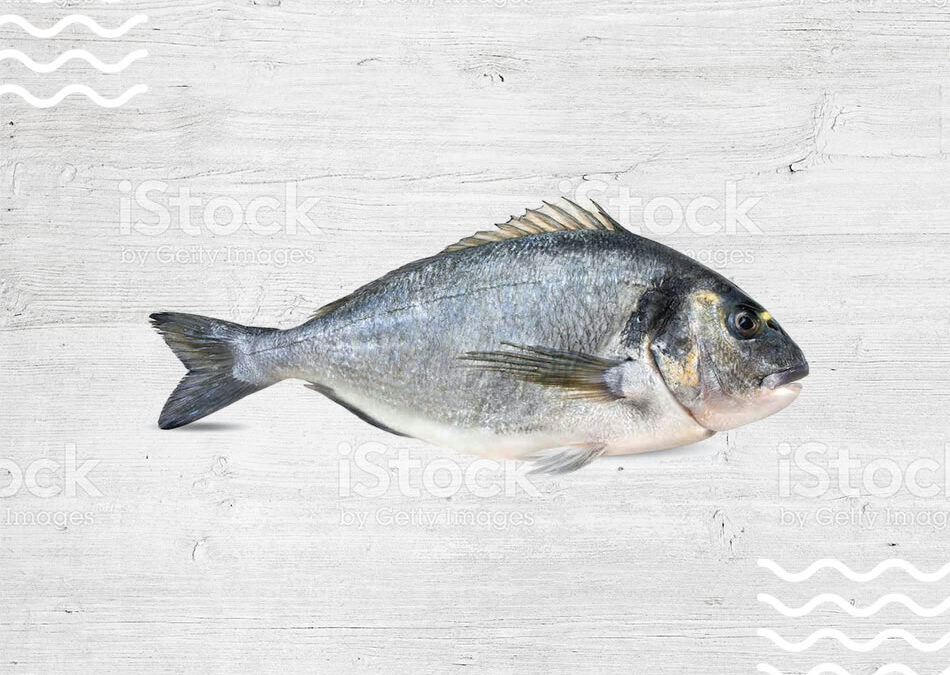 dorada