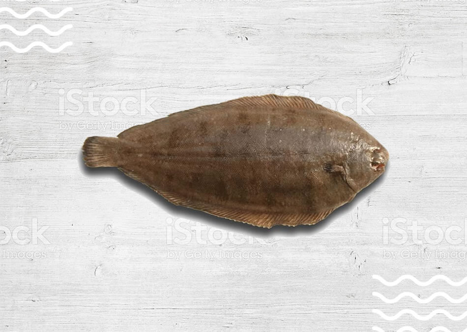 lenguado