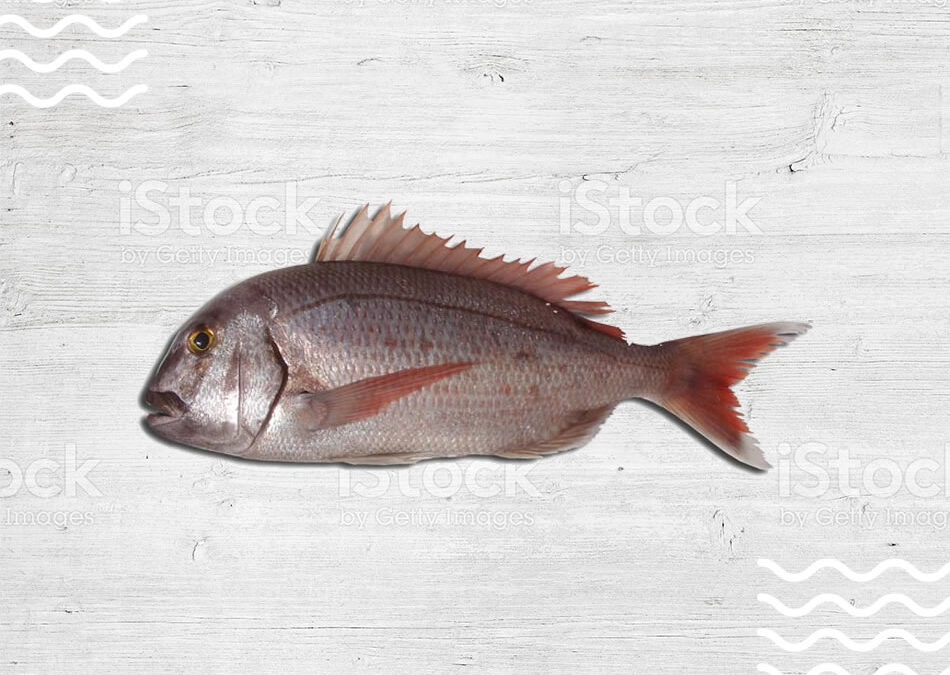 pargo