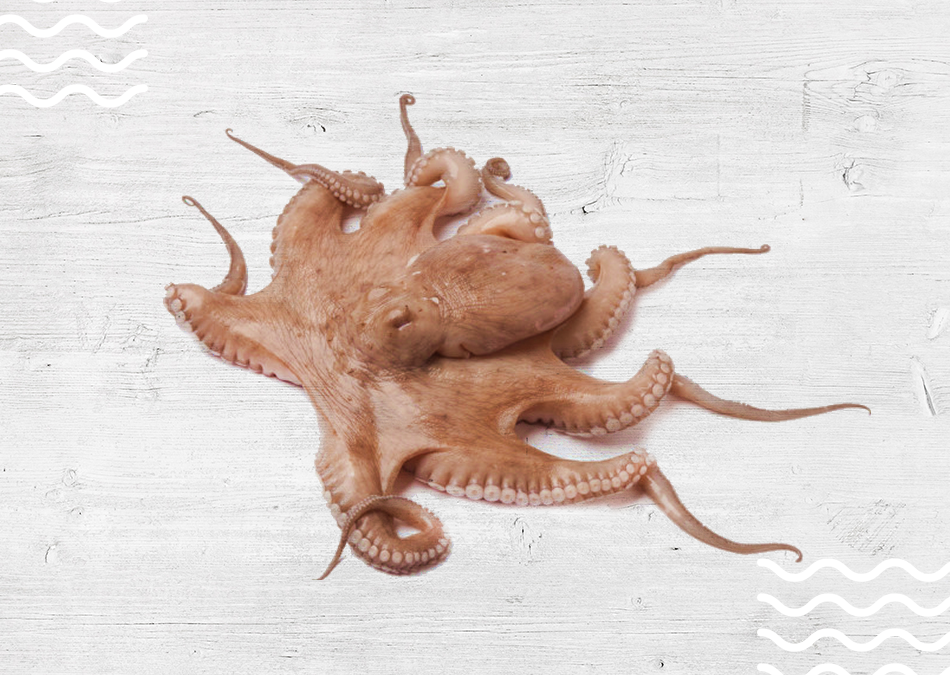 tako