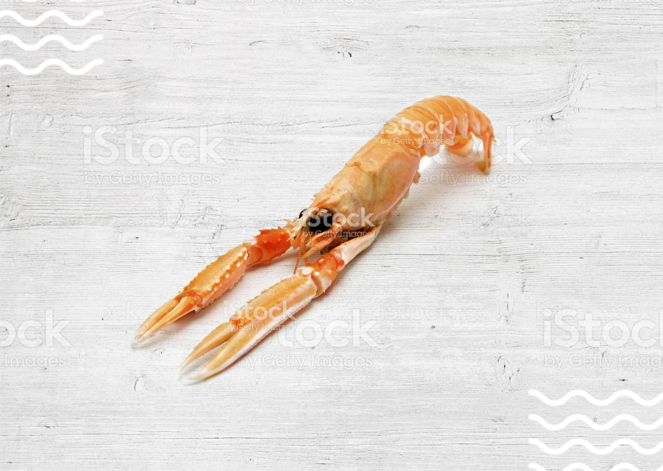 img_producto_cigala