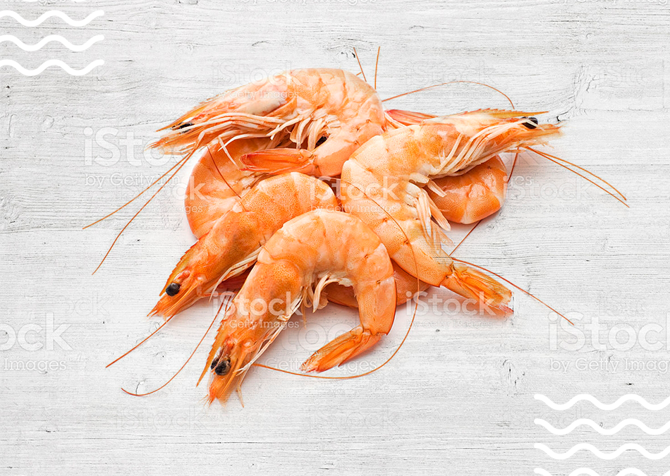 img_producto_gamba
