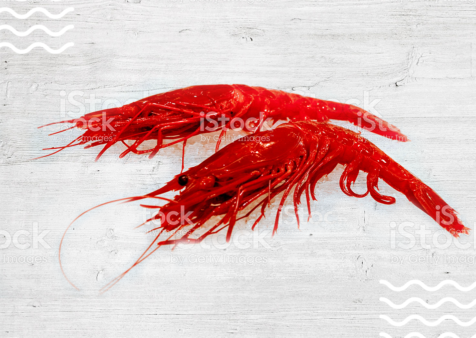 img_producto_gambon
