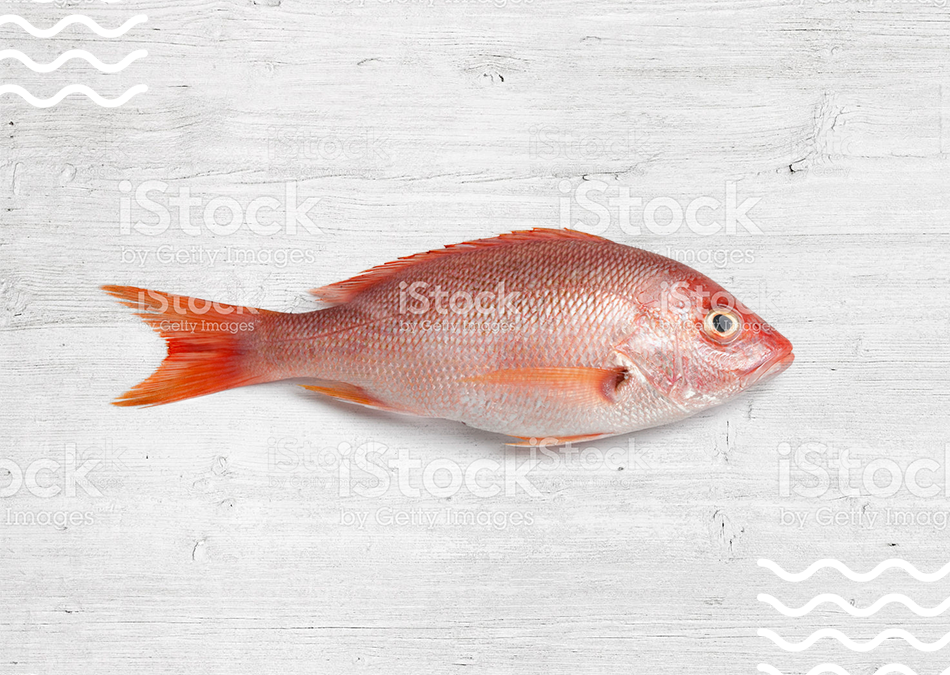 img_producto_pargo