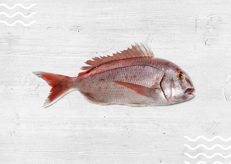pargo