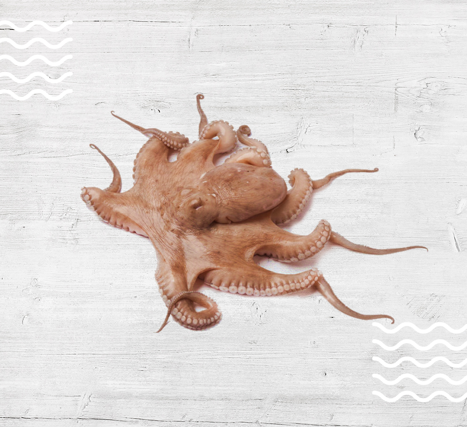 Tako Tako